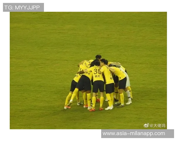 帕夫洛维奇伤愈复出将入选AC米兰对莱切比赛大名单